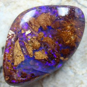 opal fossil